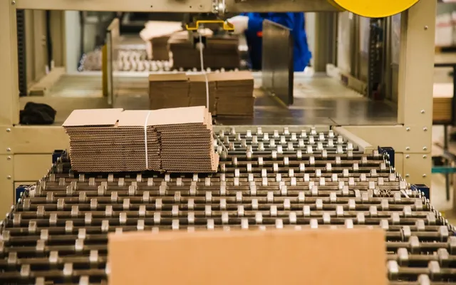 Banded stacks of corrugated blanks moving along a roller conveyor in a box plant