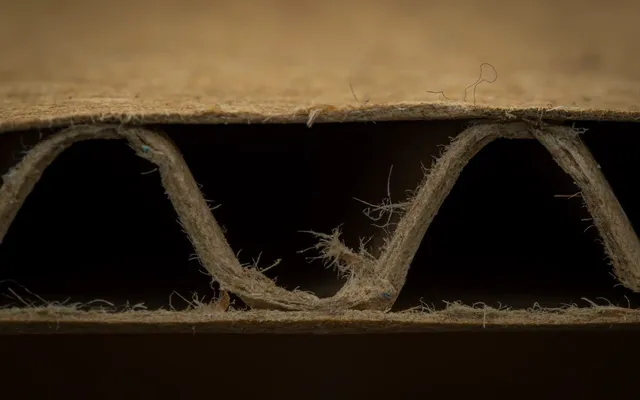 A macro view of the cut edge of single wall corrugated board, showing the fluting between the two liners