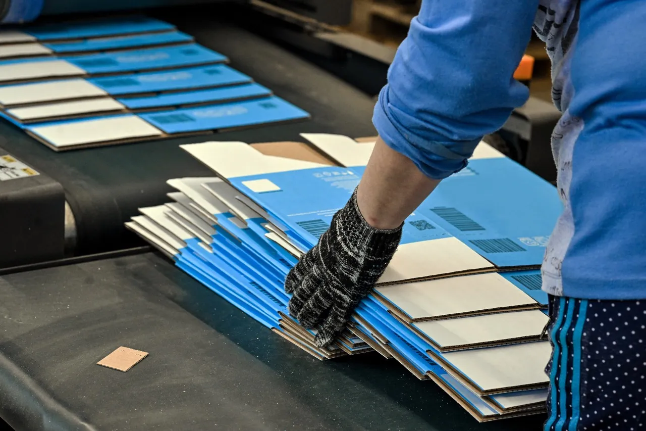 Printed corrugated blanks coming off the line, checked by an operator